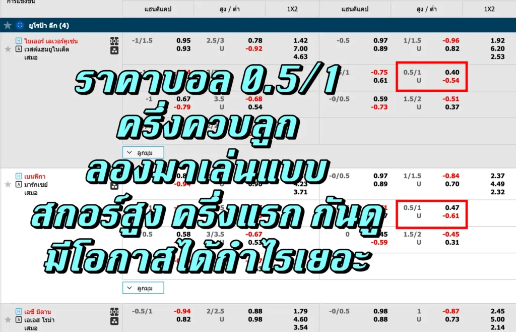 ราคาบอล 0.5/1