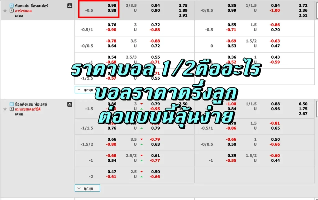 ราคาบอล 1/2คืออะไร